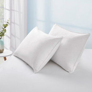 Chaps firm outlet pillow